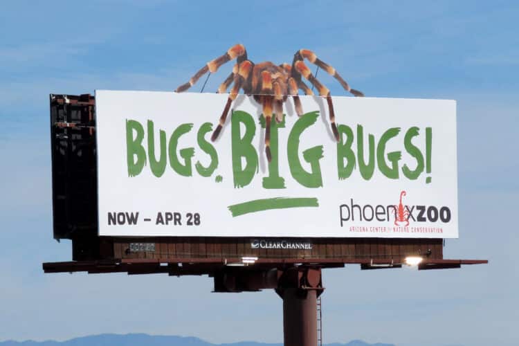 Clear Channel Outdoor DMA Big Bugs