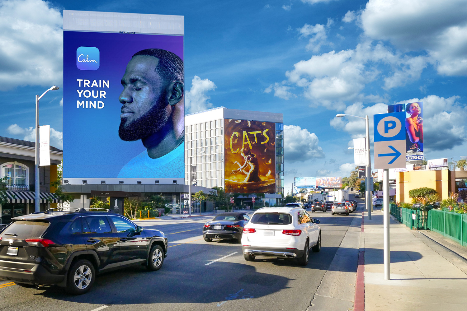 LAX Campaign CalmCom INC reaching millions