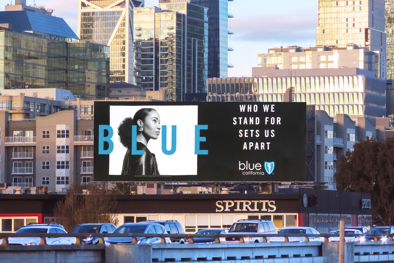 Printed Bulletin for Blue Cross Blue Shield in California
