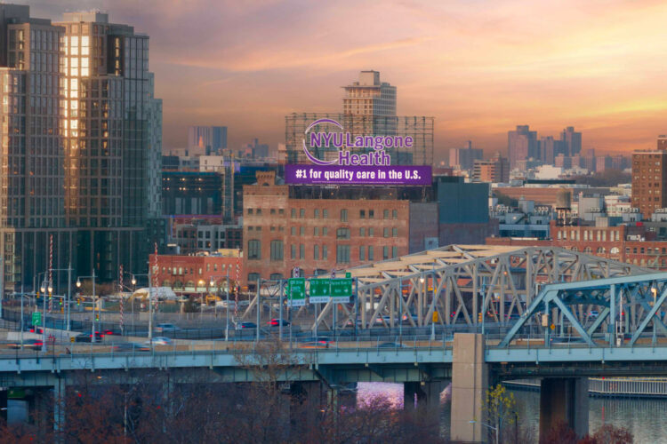 NYC AB Campaign overlooking the bridge